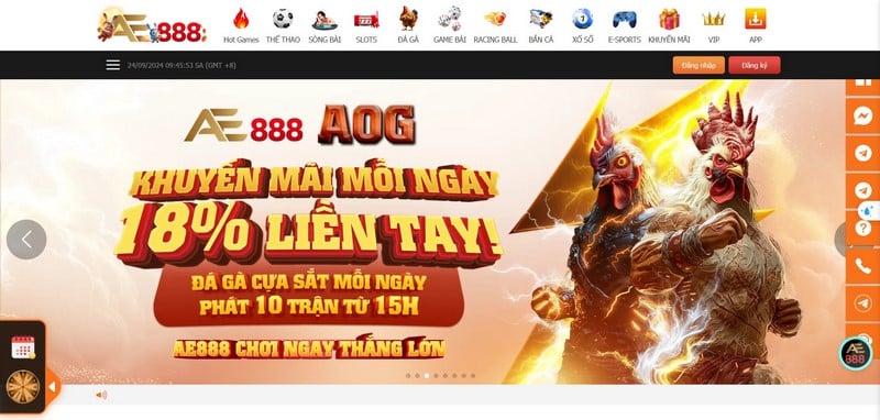 Đá Gà Ae888 - Nơi Cá Cược Chọi Gà Trực Tuyến Uy Tín