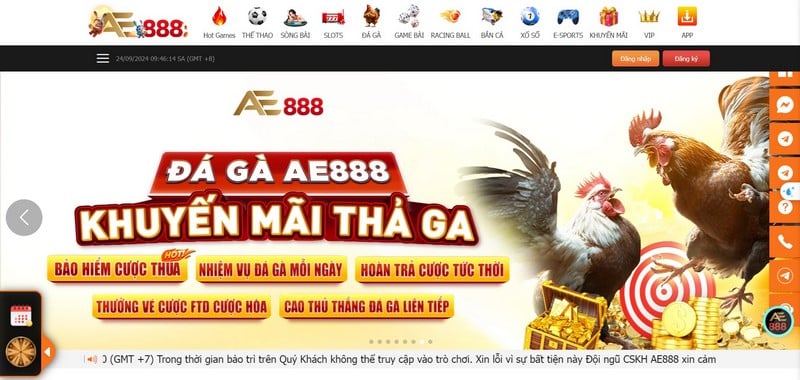 Đá Gà Ae888 - Nơi Cá Cược Chọi Gà Trực Tuyến Uy Tín