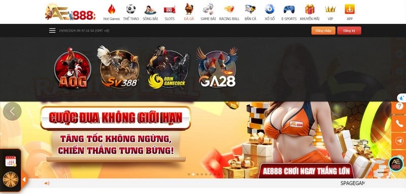Đá Gà Ae888 - Nơi Cá Cược Chọi Gà Trực Tuyến Uy Tín